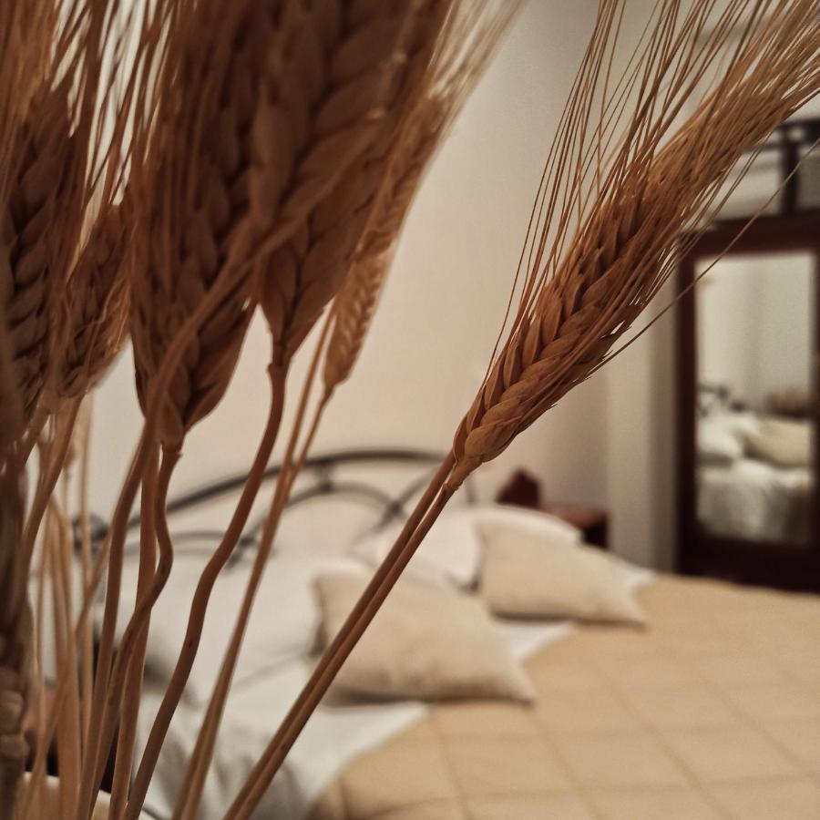 B&B La Masseria Del '700 Castiglione a Casauria Buitenkant foto